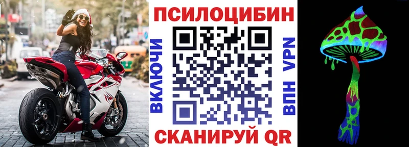 Псилоцибиновые грибы Cubensis  МЕГА   Усть-Кут 